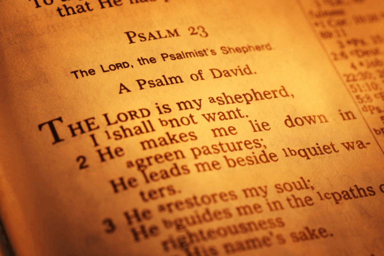 Learning to Love in the Waiting